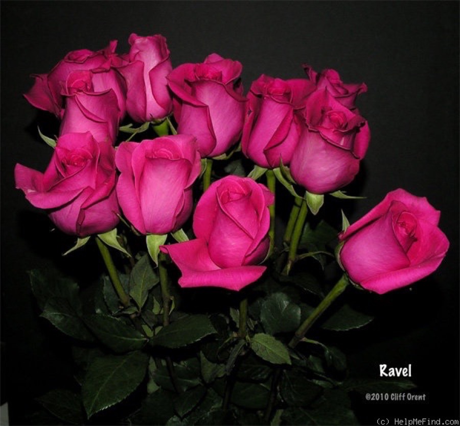 Ravel