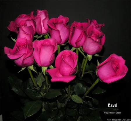 Ravel